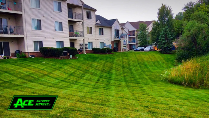 Transform Your Outdoor Space with Professional Lawn Care and Landscaping