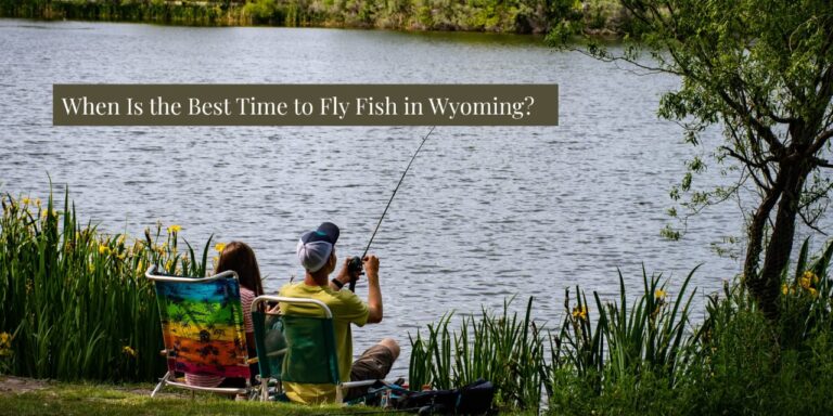When Is the Best Time to Fly Fish in Wyoming?